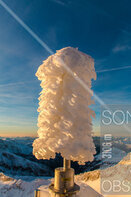 Author: Hermann Scheer